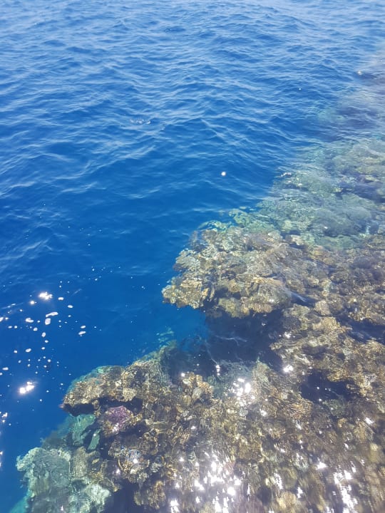 Strand Parrotel Beach Resort