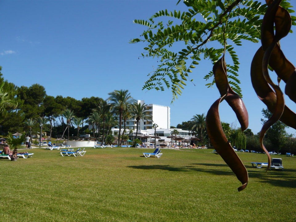 Gartenanlage Hotel Exagon Park