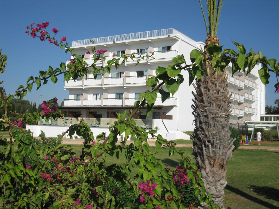 Eine Teilansicht des Hotels Asterias Beach