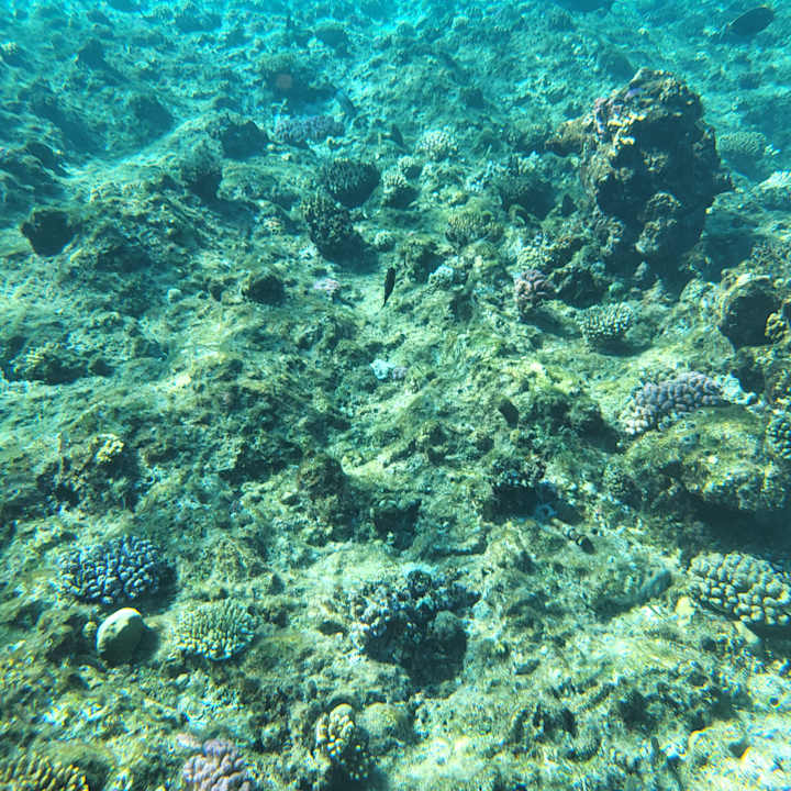 Strand Serenity Alpha Beach