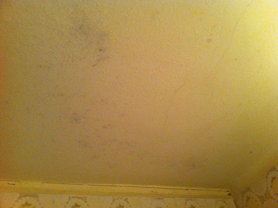 Schimmel im Bad an der Decke Seehotel Birkenhof
