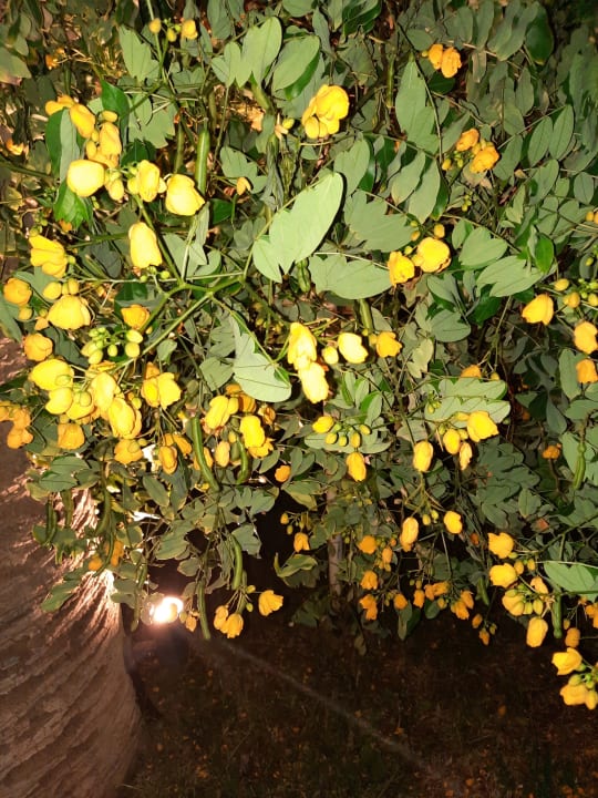 Außenansicht Lyttos Beach Hotel