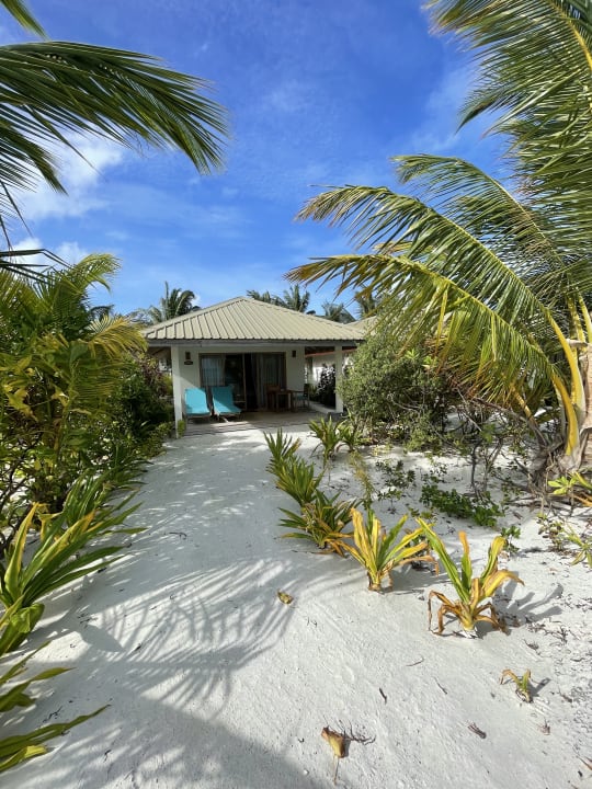 Zimmer South Palm Resort Maldives