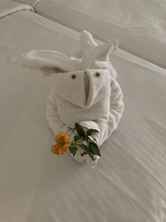 Zimmer Civitel Creta Beach