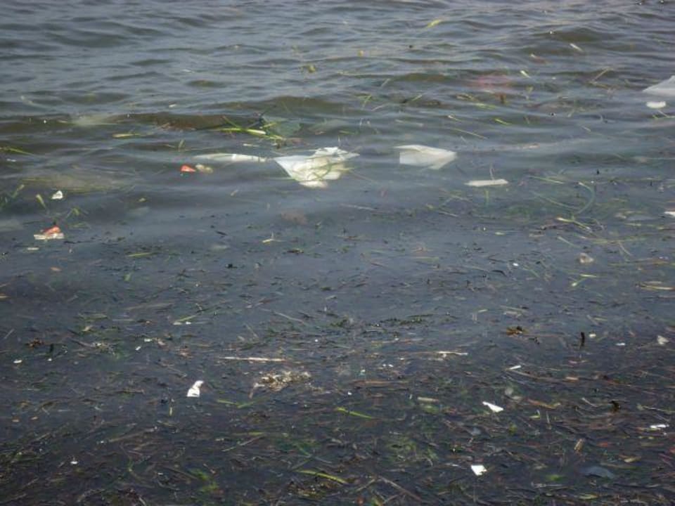 Müll schwimmt im Wasser Marhaba Royal Salem