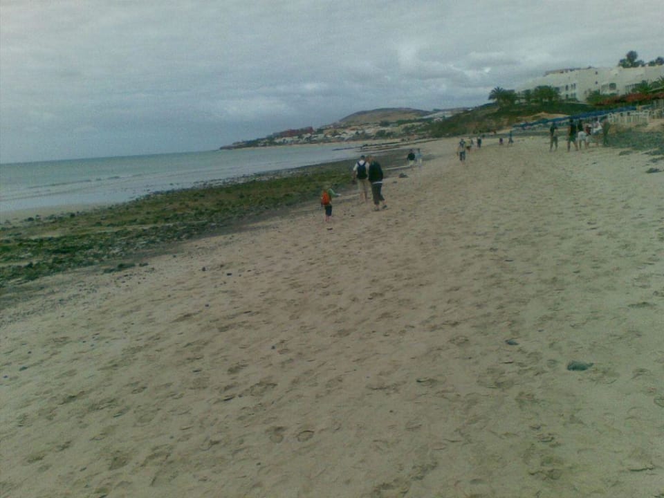Strand und Steine SBH Fuerteventura Playa