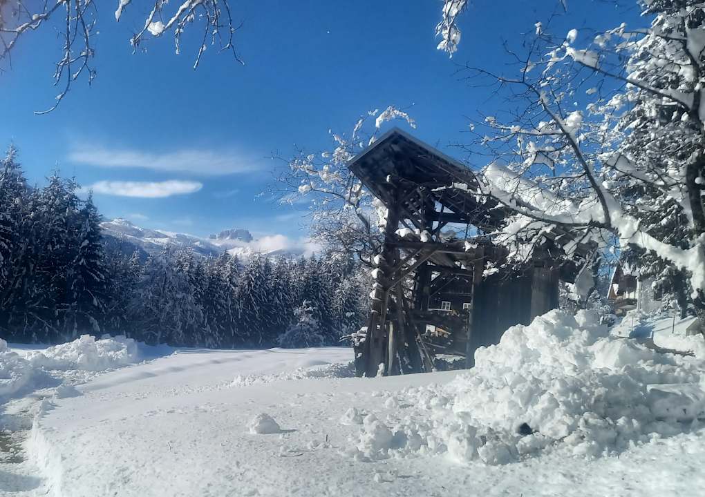Außenansicht Ferienhaus Waldhof