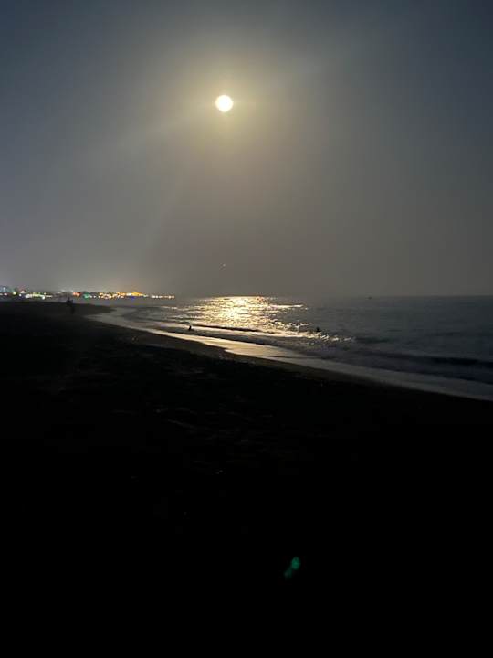 Strand Washington Resort & SPA