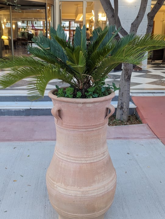 Sonstiges Hydramis Palace Beach Resort