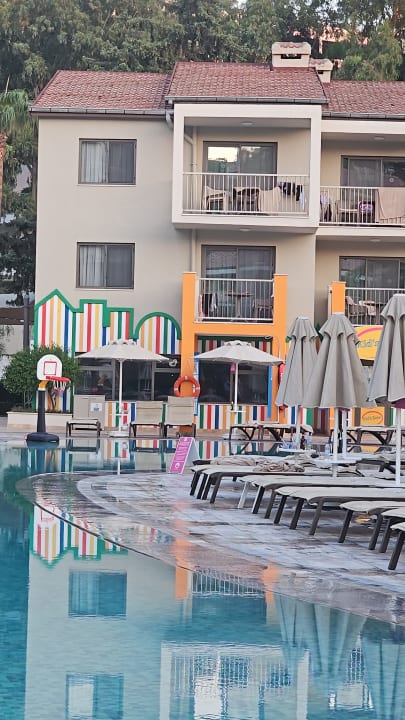 Sonstiges Arum Barut Collection