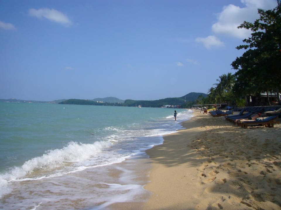 Schöner Strand NH Collection Samui Peace Resort