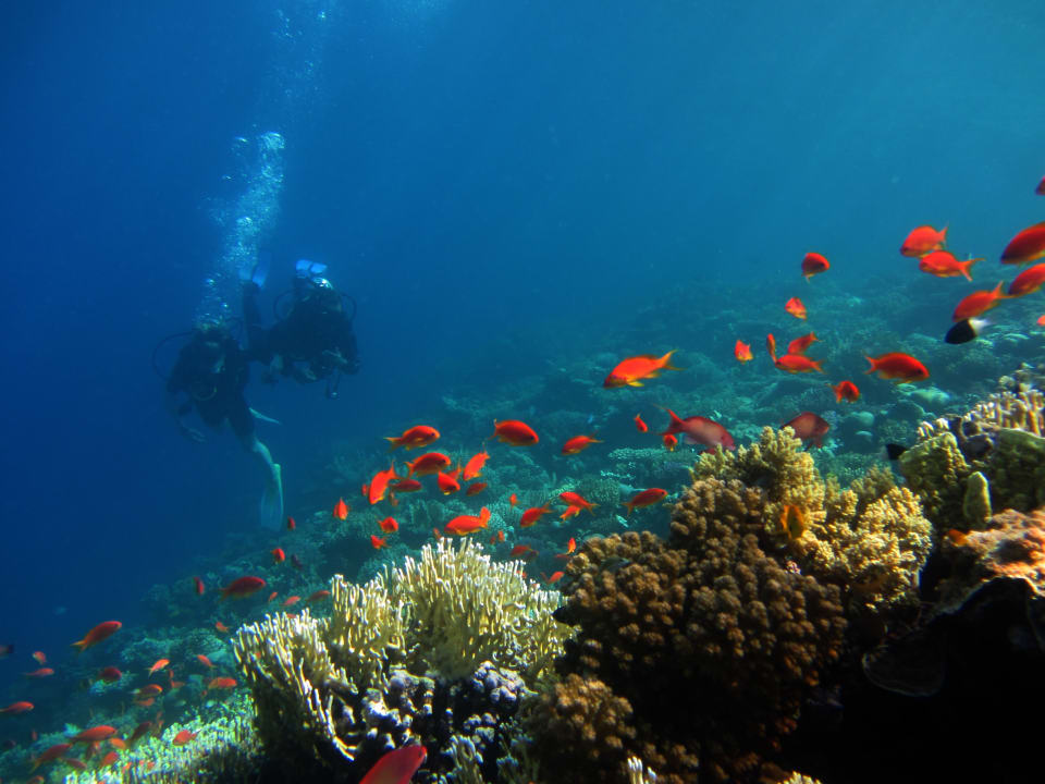 Sport & Freizeit Serenity Alpha Beach