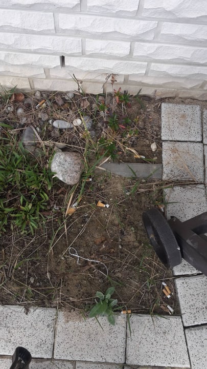 Zigarettenkippen Villa Ostseeland FeWo