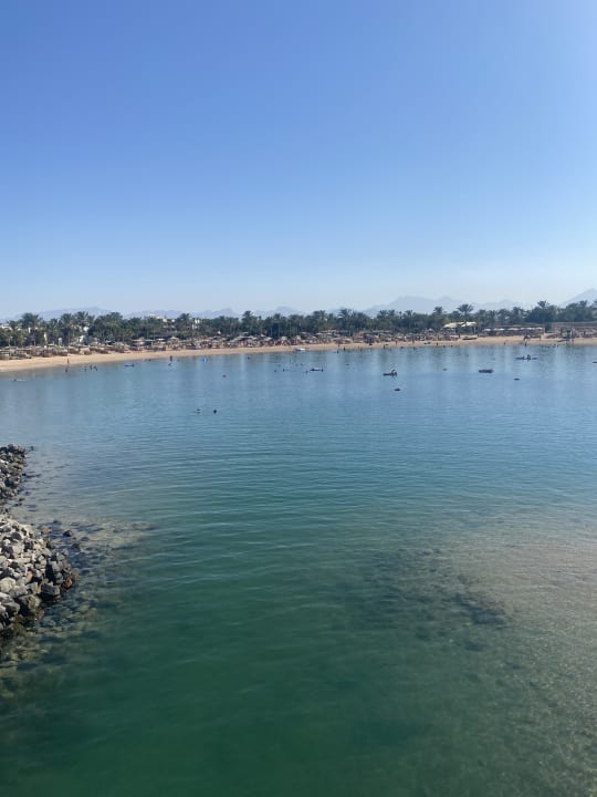 Ausblick Desert Rose