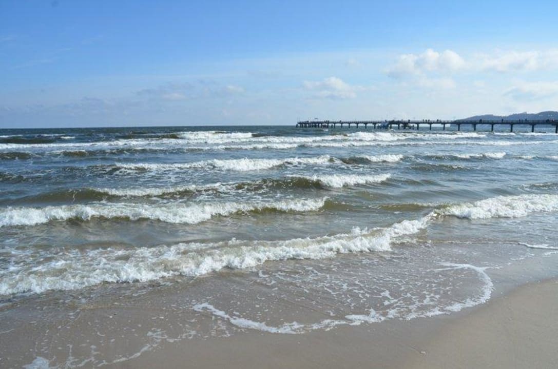 Der Strand unmittelbar vor dem Haus. Ostseeappartements Rügen Appartementhaus Jahreszeiten Binz