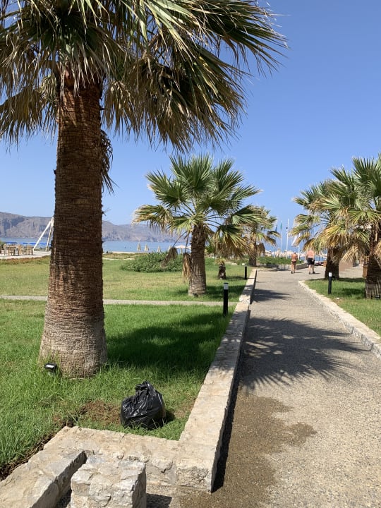 Gartenanlage Eliros Mare