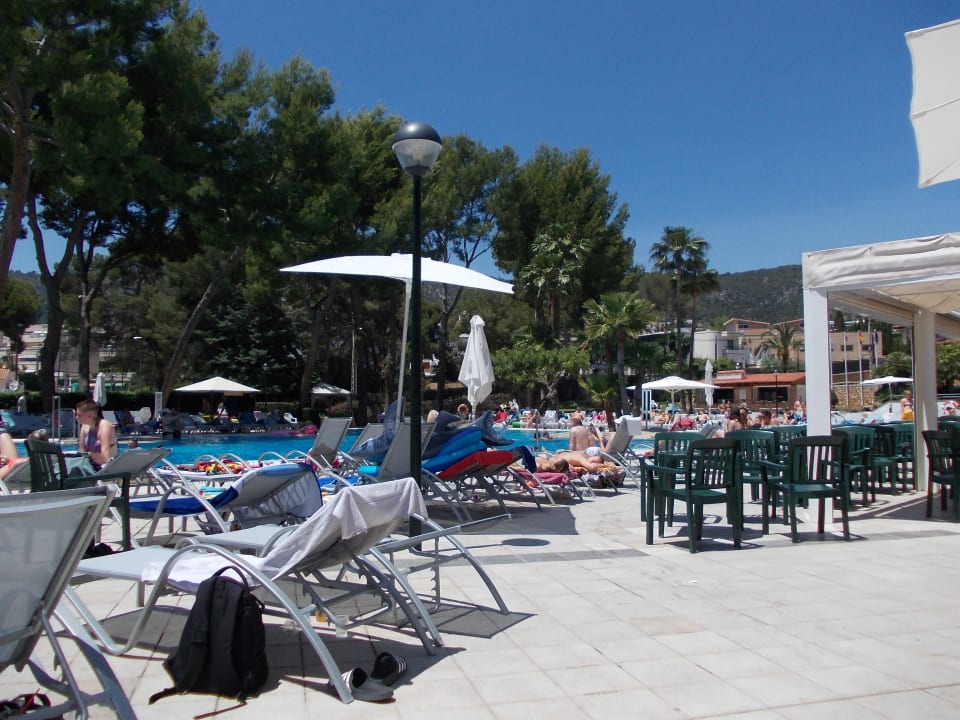Pool BQ Belvedere Hotel