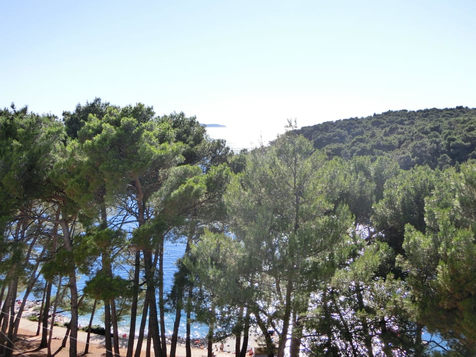 Ausblick Hotel Aurora