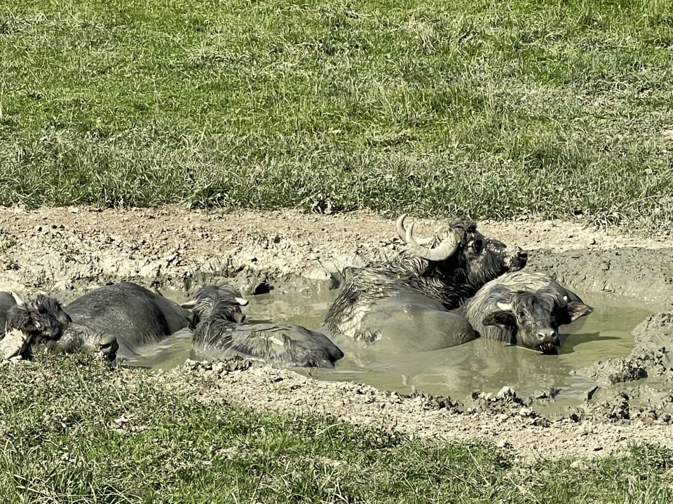 Sport & Freizeit Gasthof Mahorko