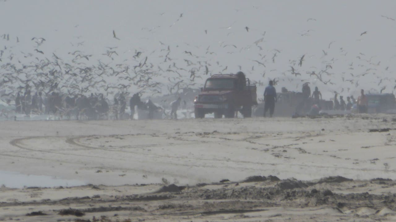Fischer bei der Arbeit Salalah Rotana Resort