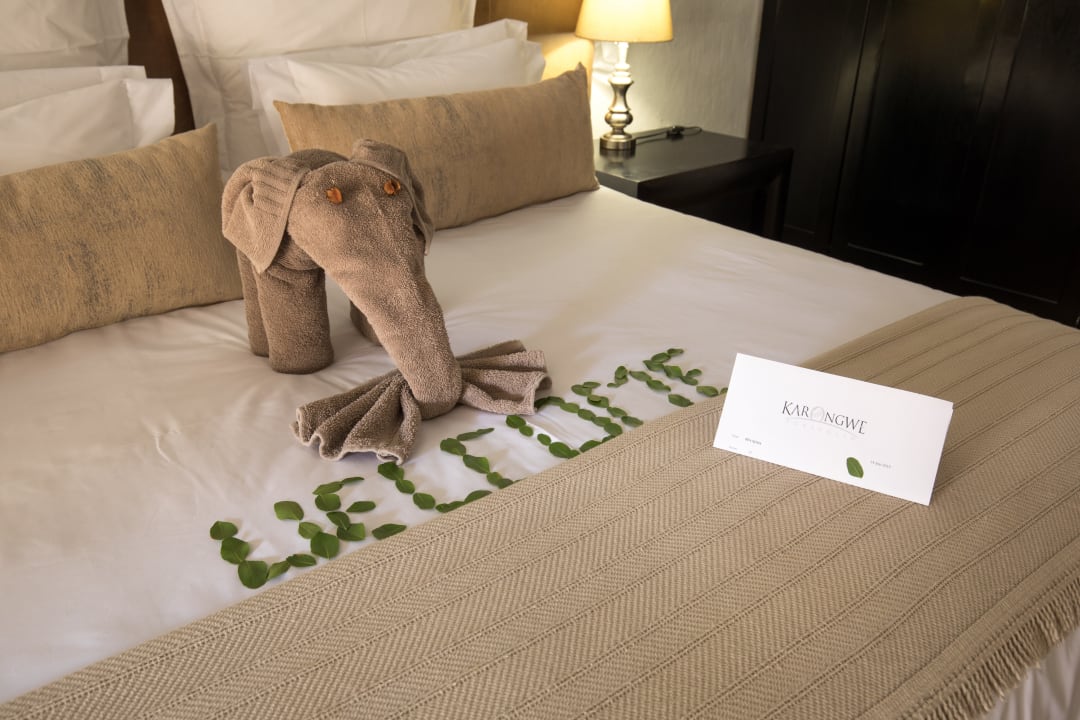 Zimmer Shiduli Private Game Lodge