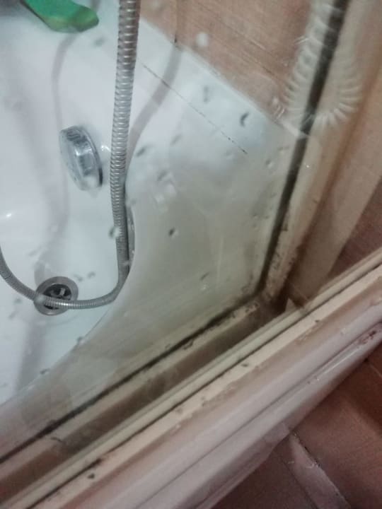 Zimmer Can Garden Beach