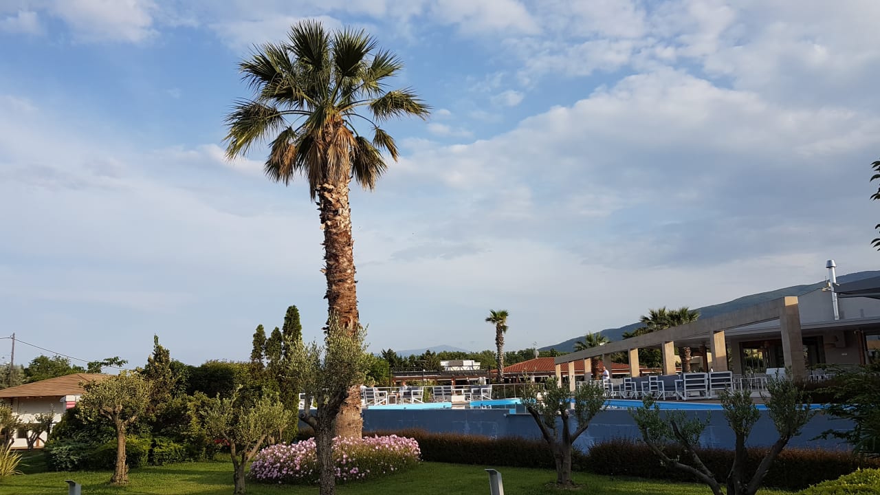 Gartenanlage alltoura Club Hotel Poseidon Palace