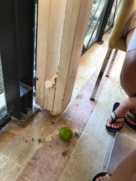 Gastro Bodrum Park Resort