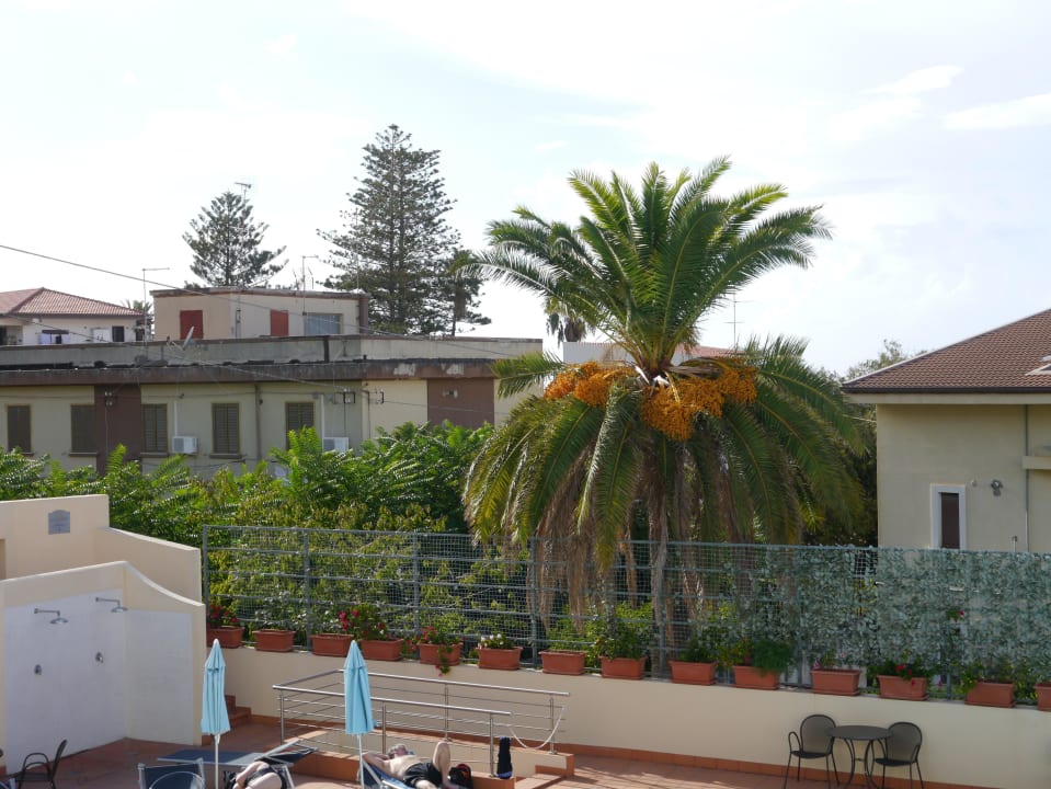 Überall Palmen Tropis Hotel