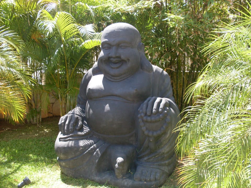 Buddha Sandos Playacar Select Club Adults only - All Inclusive