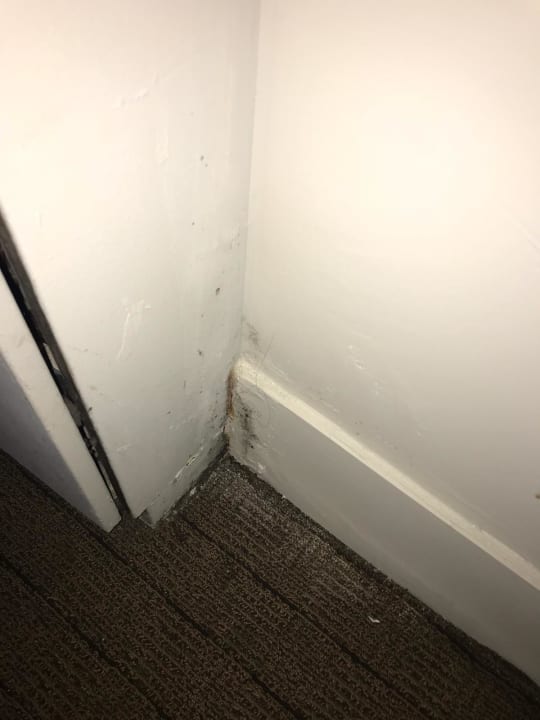 Zimmer New York's Hotel Pennsylvania