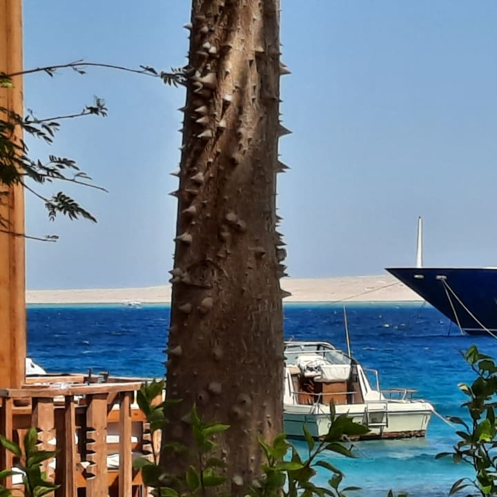 Strand Bella Vista Resort Hurghada