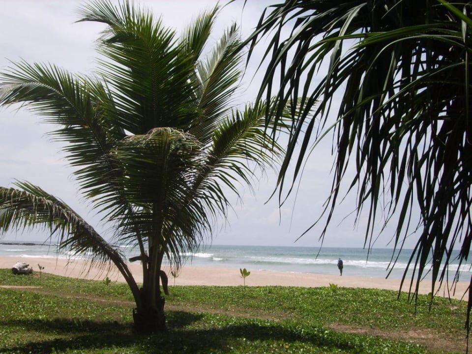 Hotelstrand Thaala Bentota