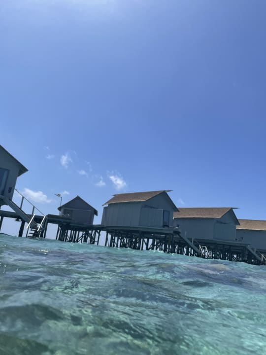 Zimmer Centara Ras Fushi Resort & Spa Maldives