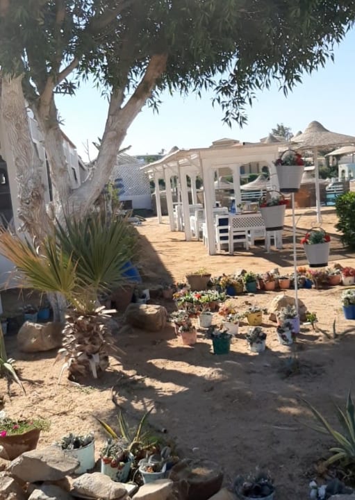 Strand Panorama Bungalows Resort El Gouna