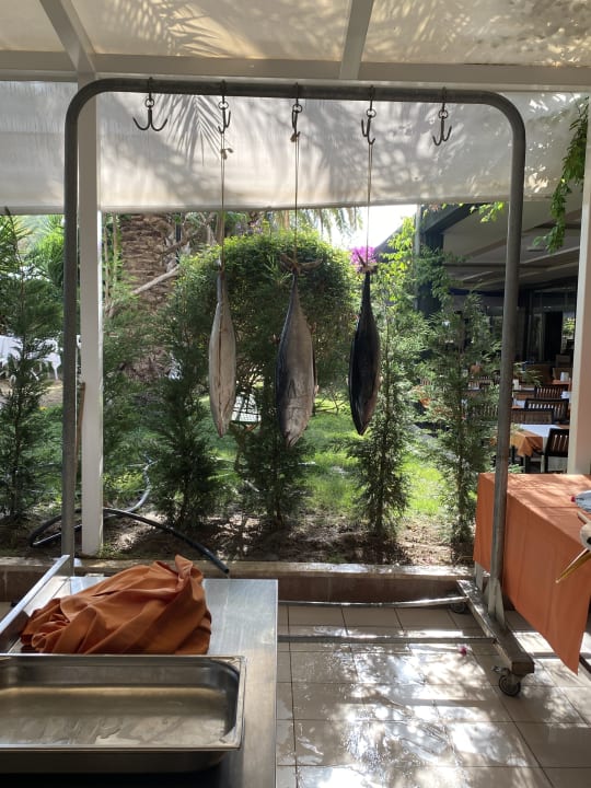 Gastro Calimera Hane Garden