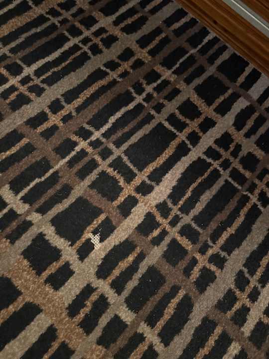 Zimmer Dorint Hotel am Heumarkt Köln