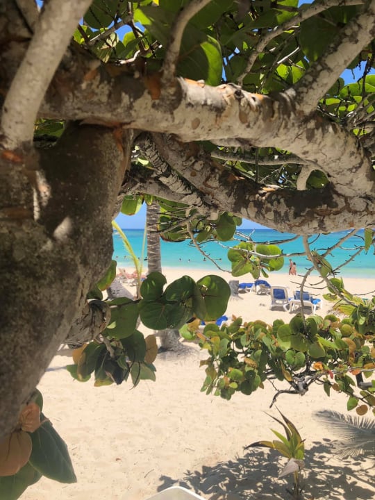 Strand Hotel Riu Bambu