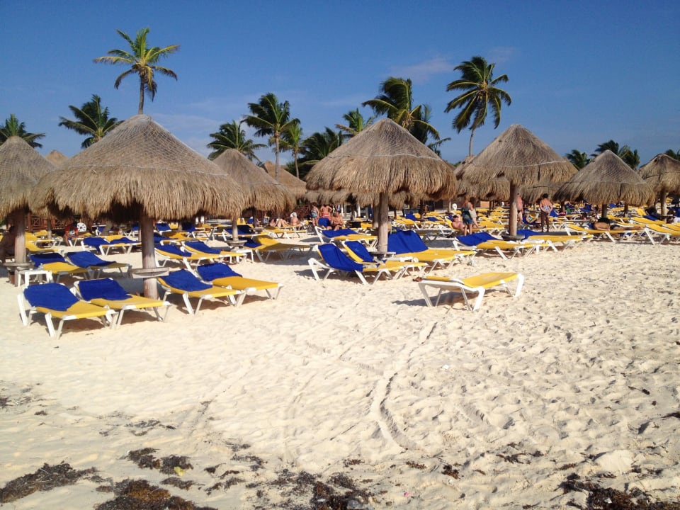 "Handtuchmafia" grrrrr Iberostar Selection Paraiso Maya Suites