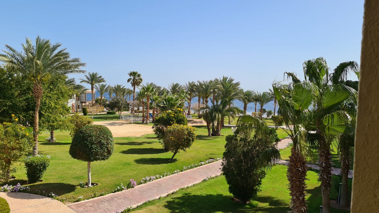 Ausblick Serenity Alpha Beach