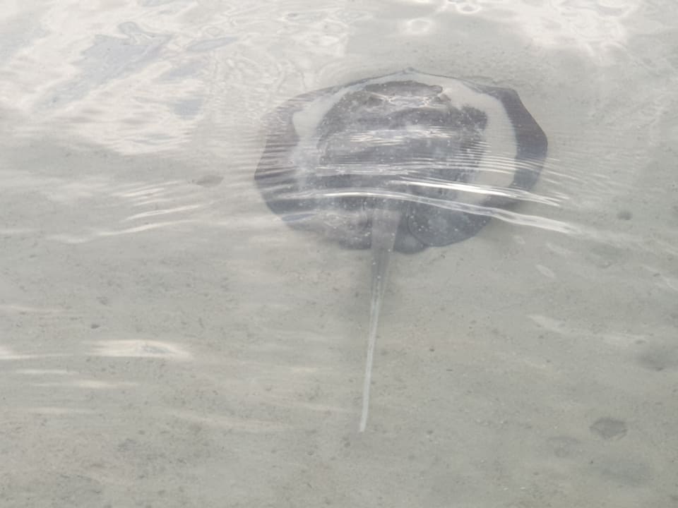 Strand Kuredu Island Resort & Spa