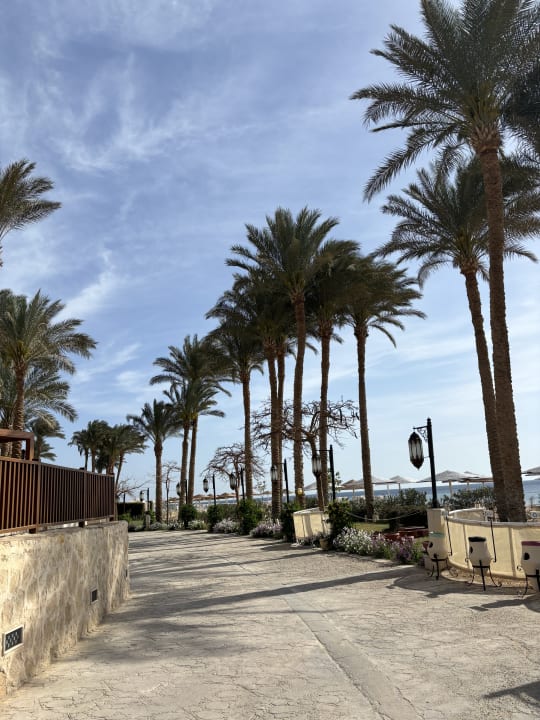 Gartenanlage Makadi Spa - Adults only