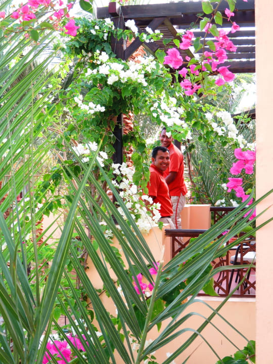 Der Roomservice von Nebenan  Steigenberger Coraya Beach - Adults only