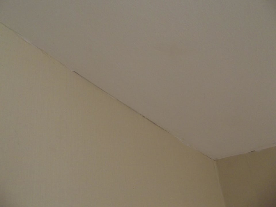 Risse und Stockflecken  Hane Family Resort