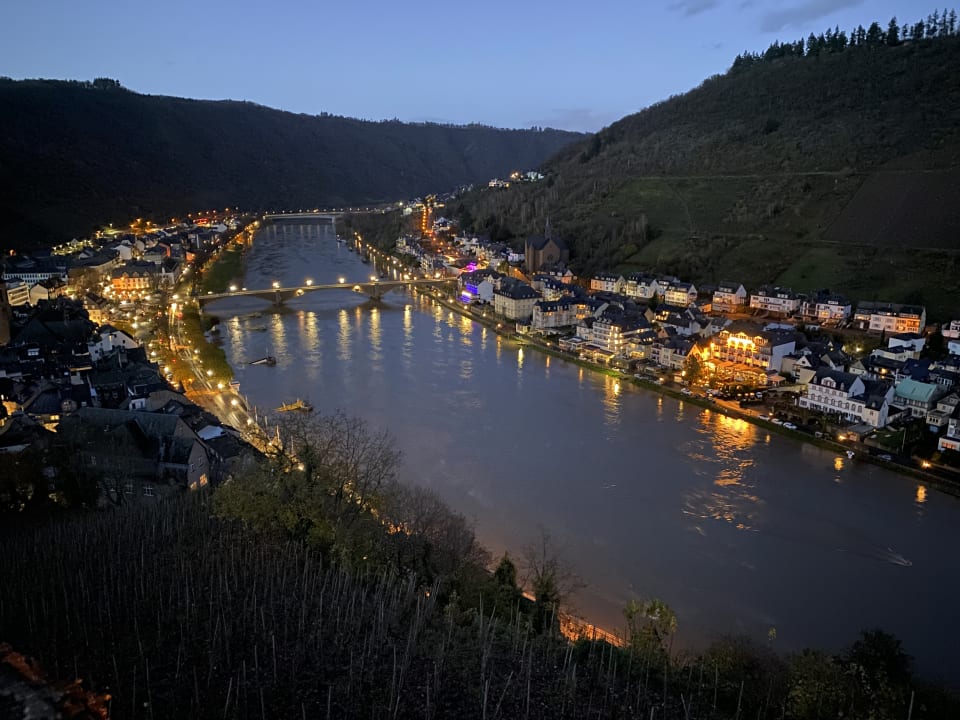 Ausblick Moselstern Hotel Brixiade & Triton