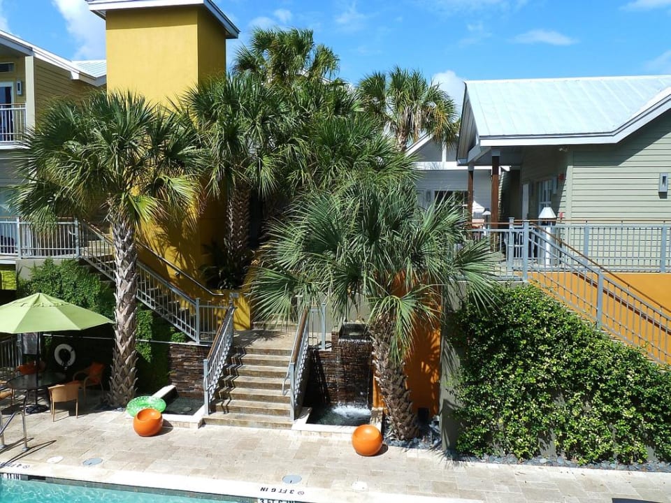 Grüne Oase Truman Hotel