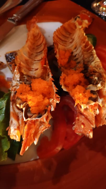 Gastro The Grand Hotel Sharm El Sheikh