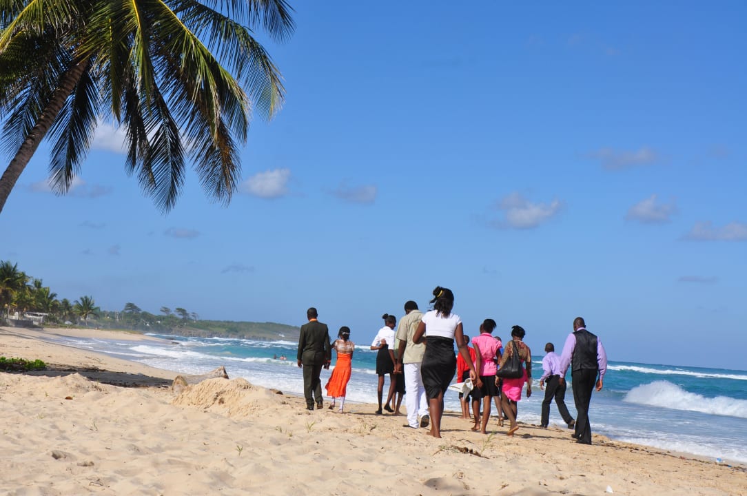 Long Bay Portland Hotel Mockingbird Hill