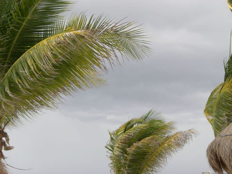 Sturm Catalonia Royal Tulum Beach & Spa Resort - Adults only