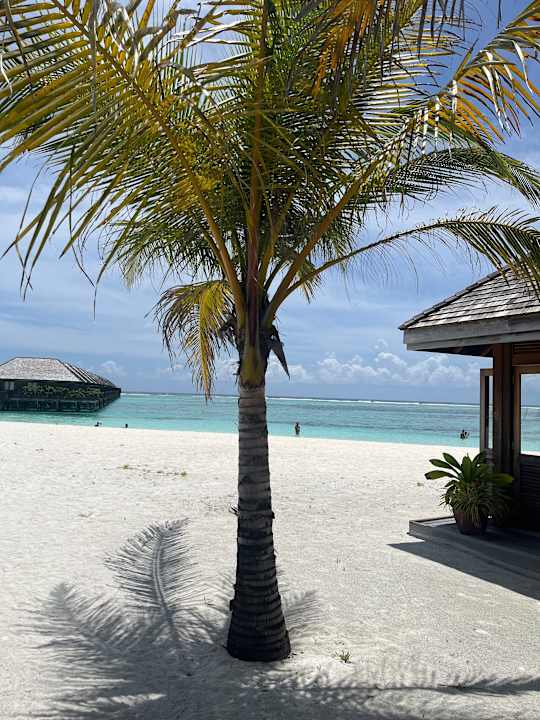 Strand Meeru Maldives Resort Island